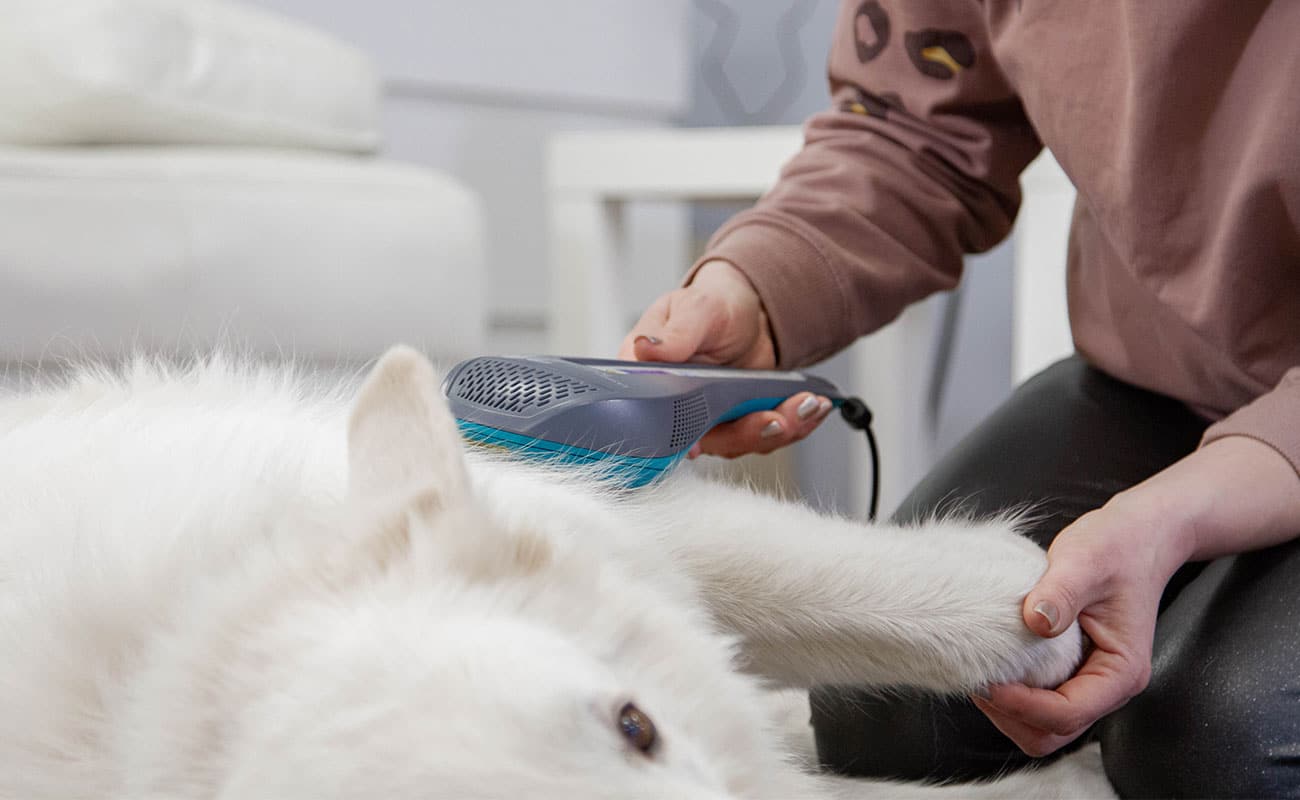 Lasertherapie Praxis