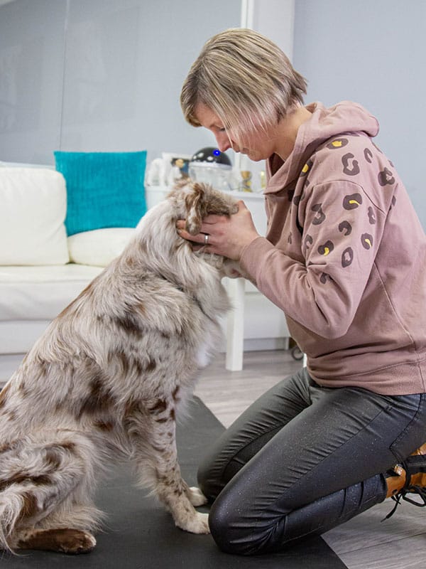 Physiotherapie bei Hunden
